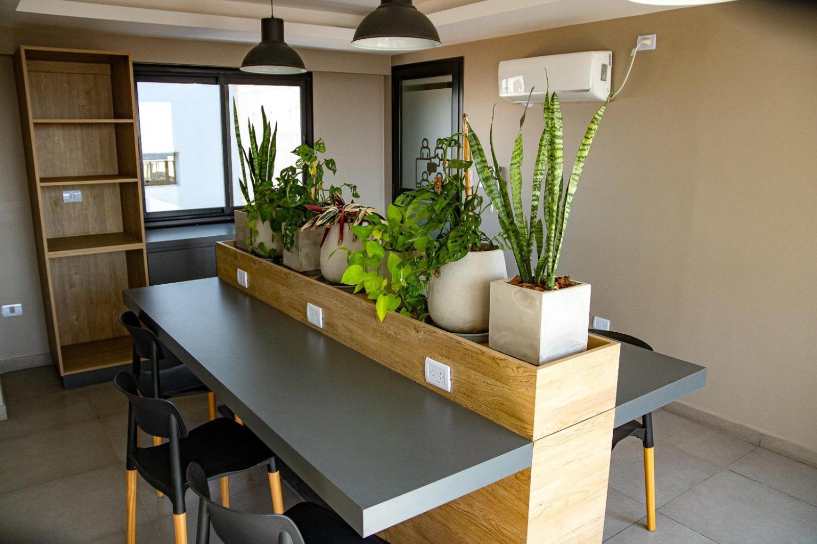 Zoe Departamento Luminoso Y Comodo Excelente Ubicacion Apartamento San Miguel de Tucumán